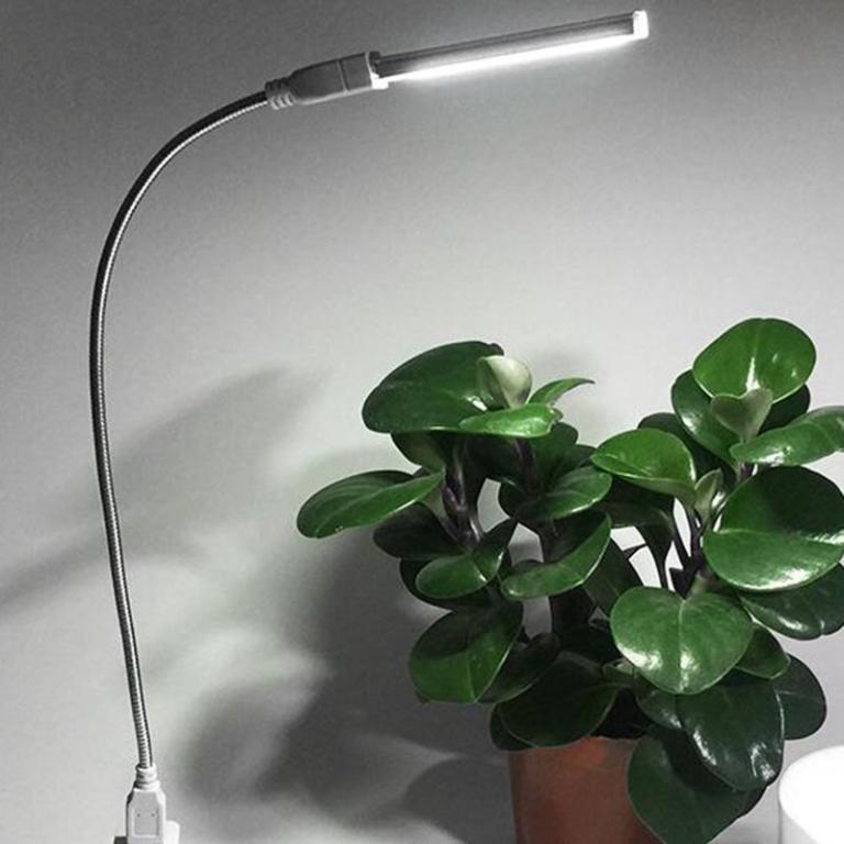 Table Book Night Lamp LED Mini USB Reading Light Portable … in Malaysia - Image 1