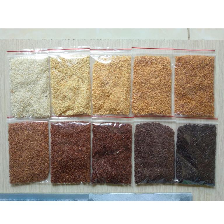 [20x30] Frame + Rice painting material set in Petaling Jaya - Image 1