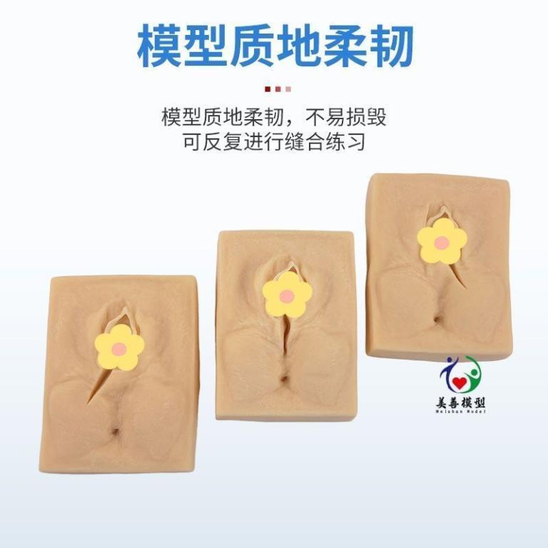 External Vaginal Suture Exercise Model Vaginal Suture … in George Town - Image 1