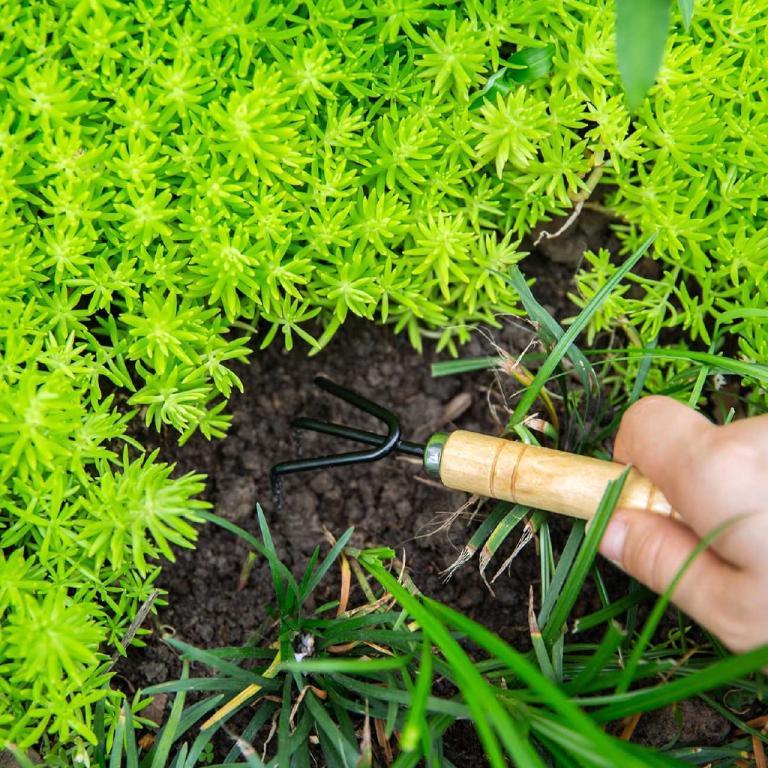 3pcs Mini Gardening Pot Planting Small Rake Spade Shovel … in Sengkang - Image 1