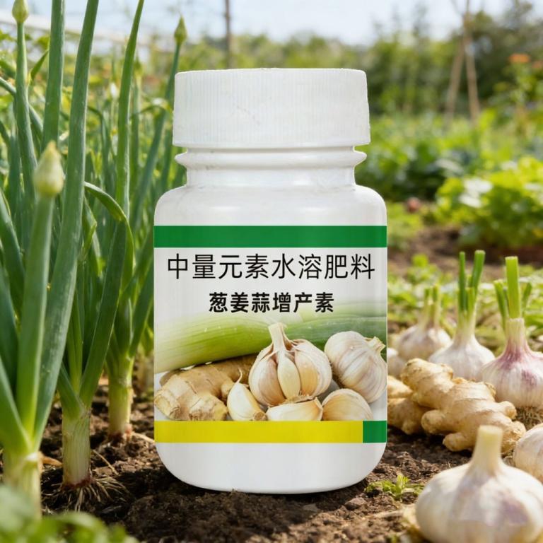Tool Promotion Expansion Large Lifting Starch Onion Ginger … in Bukit Batok - Image 1