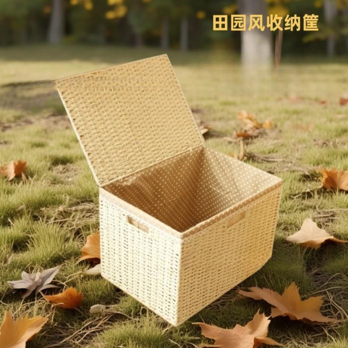 Woven Storage Basket, Rattan Storage Box, Desktop Woven … in Sembawang - Image 1