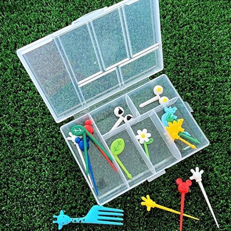 DTA 6 Slots Empty Container for Fruit Pi Storage Box for … in Bukit Batok - Image 1