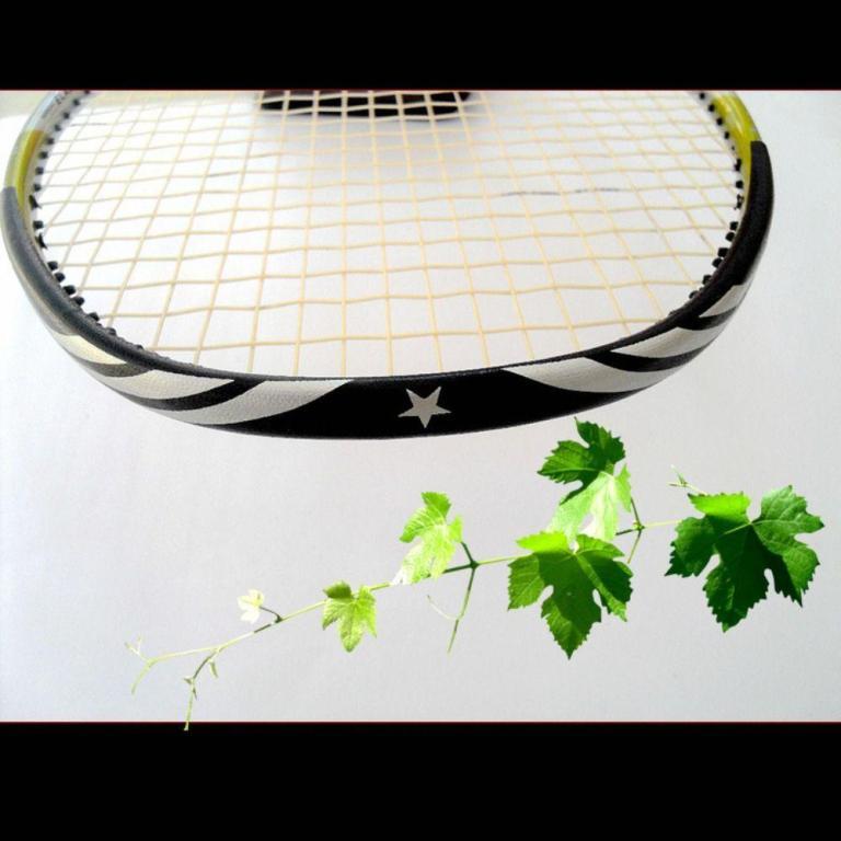 DARON Racket Edge Protector Tape, Scratch Prevent Printing … in Mandai - Image 1