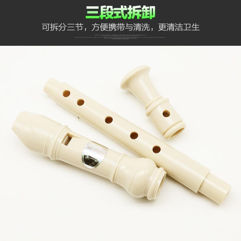 Classroom Musical Instruments Swan Recorder Hole Introductor … in Toa Payoh - Image 1