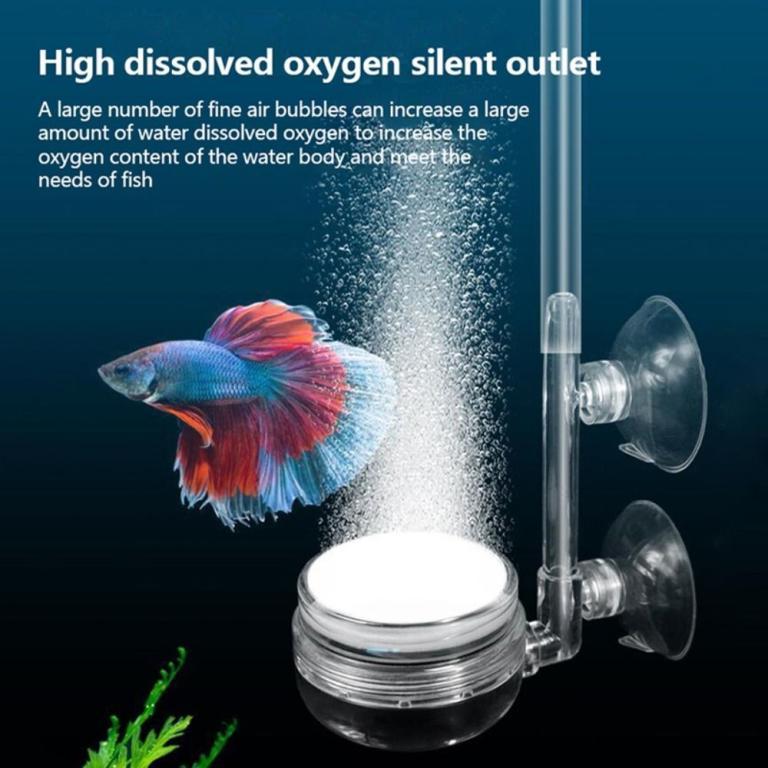 JANRY Transparent CO2 Diffuser Purifier, Efficient … in Bukit Batok - Image 1