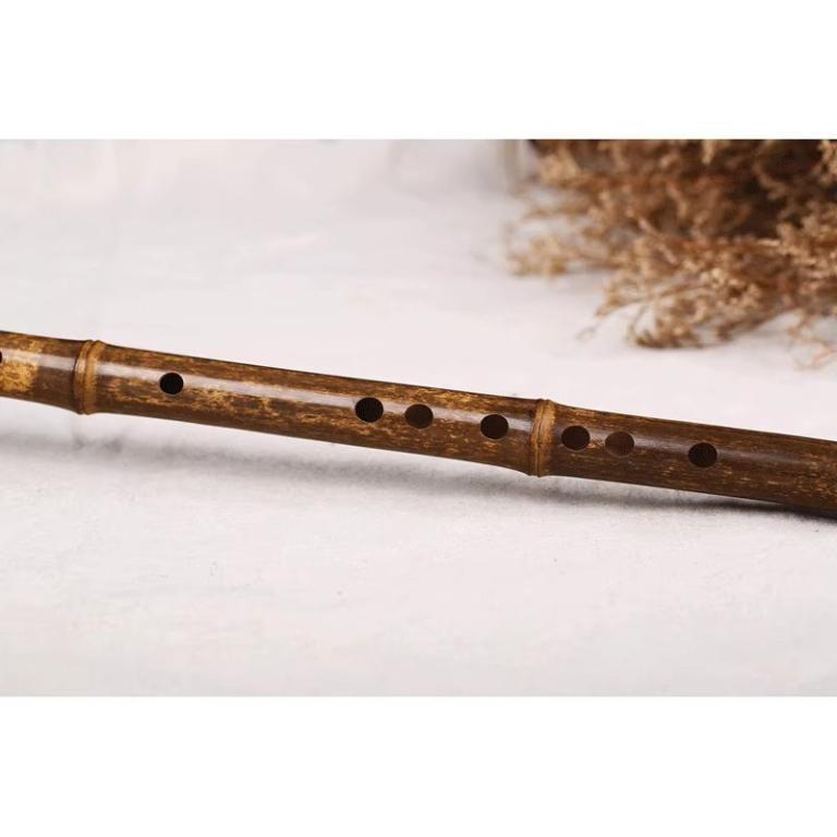Flute beginners with zero basic knowledge of trans … in Geylang - Image 1