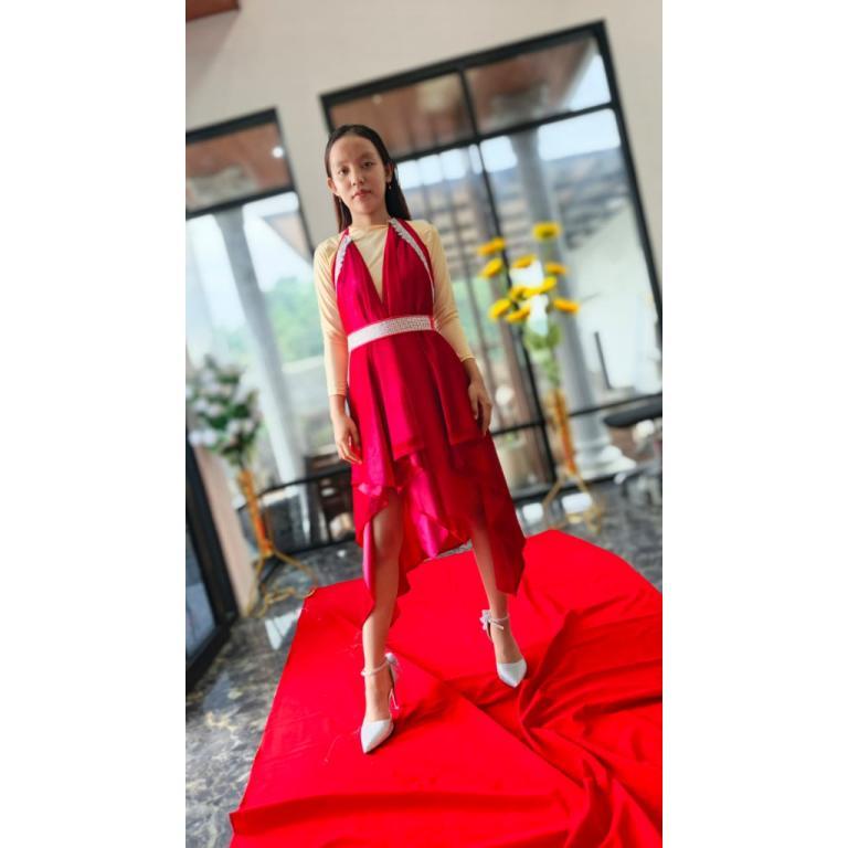 BEAUTIFUL DRESS, NEWEST DRESS, PARTY DRESS in Toa Payoh - Image 1