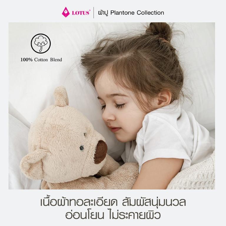 LOTUS 6-Foot Bed Sheet Set 1 Piece Plantone Model Code LCT-PT-08 in Pasir Ris - Image 1