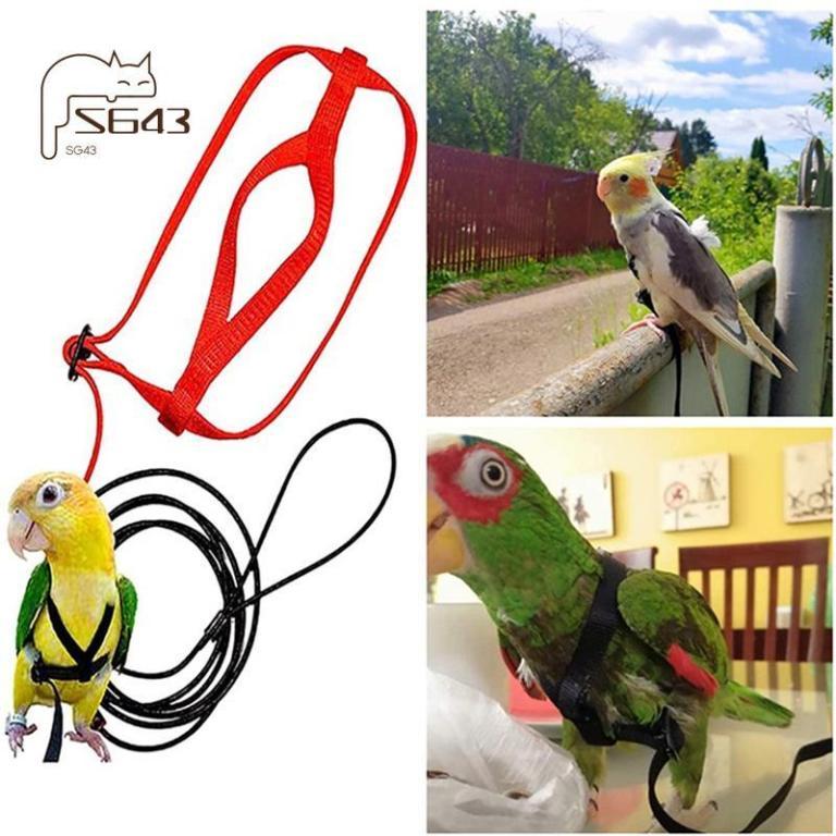 Anti-Bite Training Rope Flying Traction Rope for Birds … in Toa Payoh - Image 1