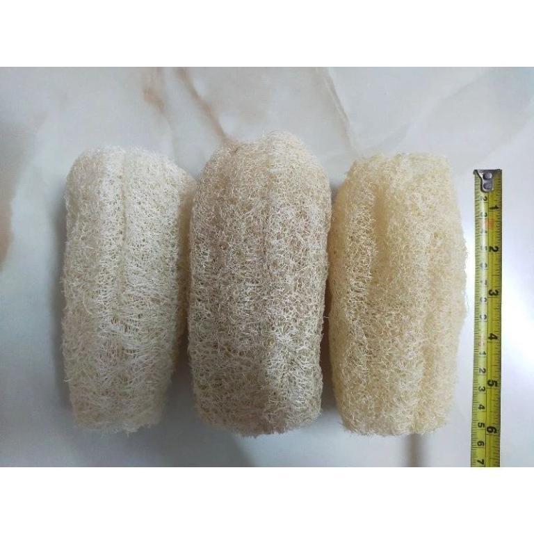 Biodegradable Loofah Rag for Kitchen and Dish Cleaning in Sembawang - Image 1