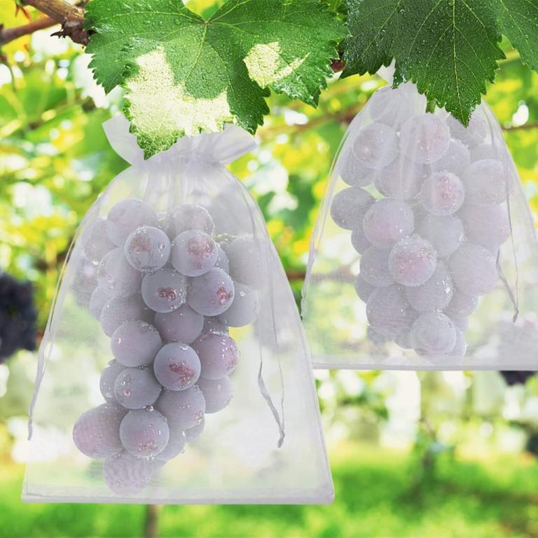Fruit Protection Mesh Bag with Drawstring. Anti-Bird & … in North-Eastern Islands - Image 1