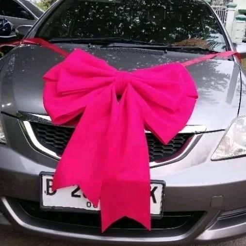 FLN Car - Motorcycle Butterfly Ribbon Jumbo Ribbon Building … in Toa Payoh - Image 1