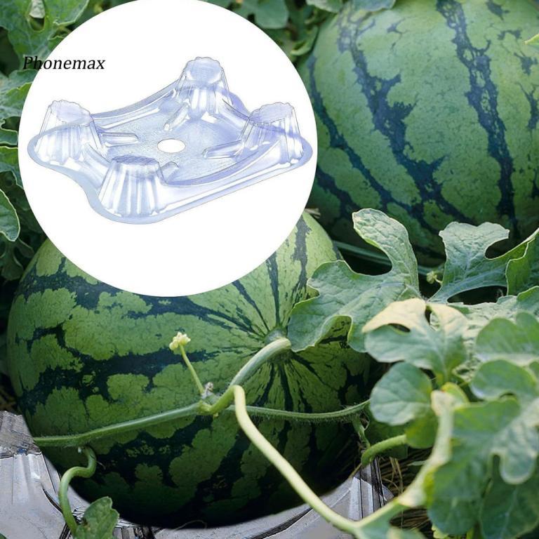Year-round Fruit Support Watermelon Holder Stackable … in Toa Payoh - Image 1