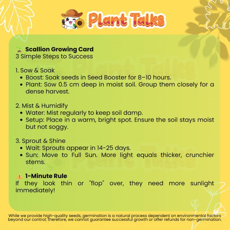Plant Talks Spring Onion Seeds / Scallion Seeds / Seeds … in Sengkang - Image 1