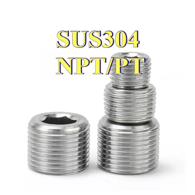 SUS304 Stainless Steel NPT/PT Hex Socket Pipe Plugs … in Woodlands - Image 1