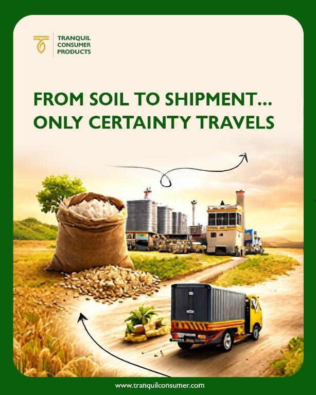 TCP Bulk Indian Rice Exporter – Consistent Quality Guaranteed in Vasanth Nagar - Image 1