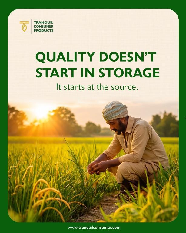 TCP Bulk Indian Rice Exporter – Consistent Quality Guaranteed in Vasanth Nagar - Image 2
