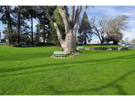 707 Esquimalt Rd in Victoria - Image 1