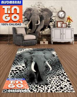 ALFOMBRAS DECORATIVAS - ALFOMBRAS TINGO - VENTA - LAVADO en Quito - Imagen 13