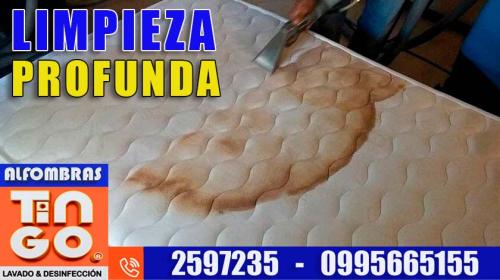 ALFOMBRAS TINGO - SERVICIO 100 PROFESIONAL en Quito - Imagen 11