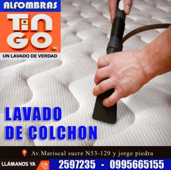 ALFOMBRAS TINGO - SERVICIO 100 PROFESIONAL en Quito - Imagen 12