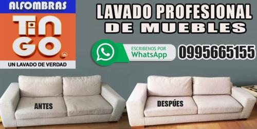 ALFOMBRAS TINGO - SERVICIO 100 PROFESIONAL en Quito - Imagen 16