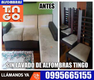 ALFOMBRAS TINGO - SERVICIO 100 PROFESIONAL en Quito - Imagen 17