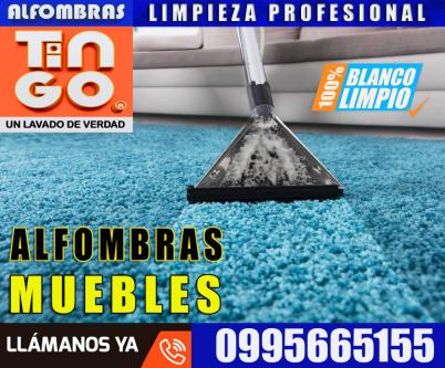 ALFOMBRAS TINGO en Quito - Imagen 2