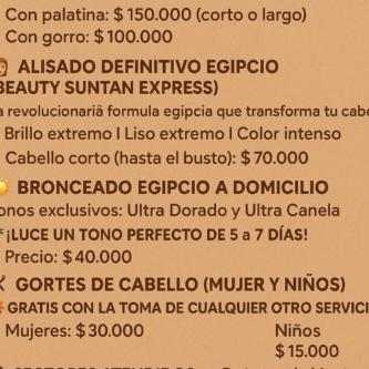 ALISADOS EGIPCIOS+ORO LIQUIDO A DOMICILIO CON VENTILADOR en Los Vilos - Imagen 2