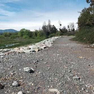 AMIGO ACTIVO MADURO en Doñihue - Imagen 1