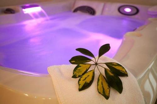 AMPLIO SPA DE LUNES A DOMINGOS MASAJES EROTICOS en Santiago de Chile - Imagen 1