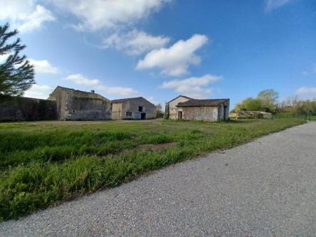 ANCIENNE FERME A RENOVER AVEC DEPENDANCES à Angoulême - Photo 1