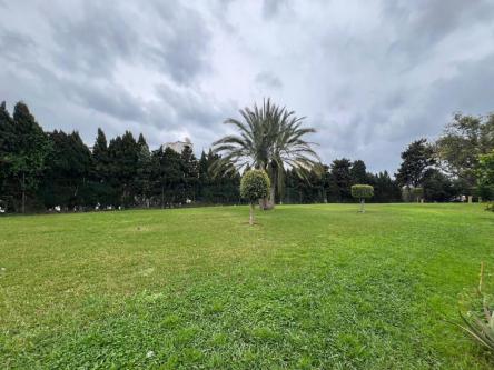 APARTAMENTO EN LOS ÁLAMOS en Torremolinos - Imagen 1