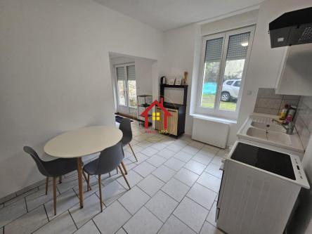 APPARTEMENT F1 BIS RDC Meublé A VENDRE à Metz - Photo 1