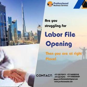 ARE YOU STRUGGLING FOR LABOR FILE OPENING WE CAN GUIDE YOU! in Abu Dhabi - Image 1