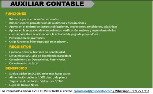 AUXILIAR CONTABLE en Nazca - Imagen 1