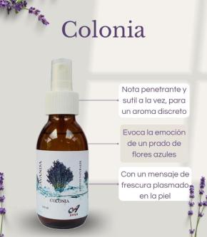 Aceite de Lavanda en Guayaquil - Imagen 3