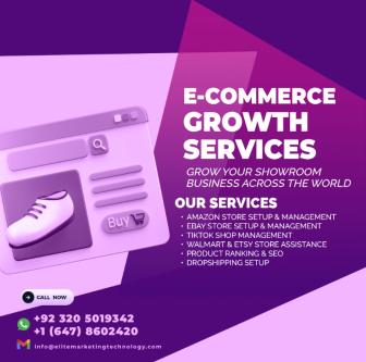 Advanced Digital Solutions for Software & E-Commerce Growth à Colmar - Photo 2