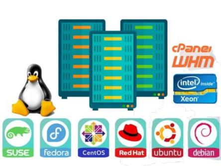 Advanced Linux Dedicated Hosting from Hosting Home in RamamurthyNagar - Image 3