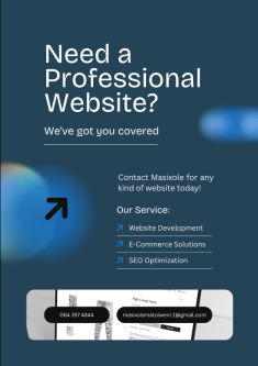 Affordable Professional Website Design & Development in Durban - Image 1