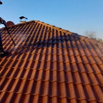Allrounder Handwerker RUND UM HAUS UND GARTEN in Stockerau - Bild 1