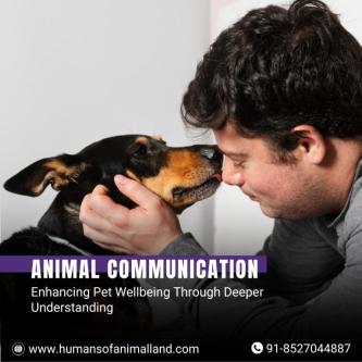 Animal Communicator in New Delhi - Image 1