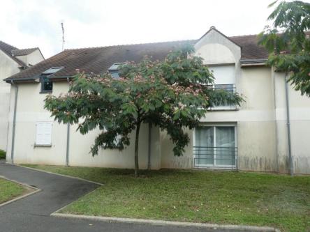 Appartement F2 au RDC, entièrement rénové à Saint-Jean-de-Braye - Photo 1