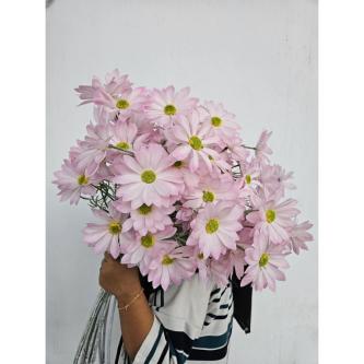 Artificial Aster Rustic Spring k4 Decorative Flowers in Bukit Batok - Image 1