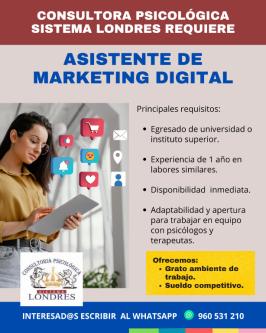 Asistente de Marketing Digital en Lima - Imagen 1