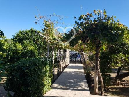 Autentica Finca Ibicenca en San Rafael en Eivissa - Imagen 1