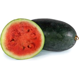BABA Seeds VE-055 Ice Box Watermelon 精品西瓜 in Singapore - Image 1