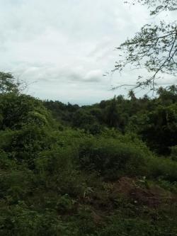 BACONG COUNTRY PROPERTY FOR SALE in Marikina Heights - Image 1