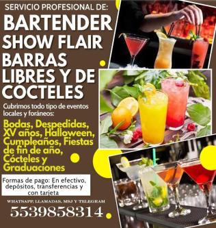 BARTENDER Y BARRAS LIBRES en Puebla - Imagen 1